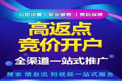 不同领域充值返点模式的差异与共性
